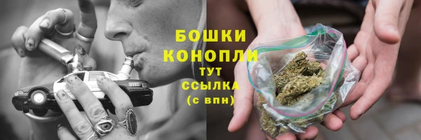соль ск Костерёво
