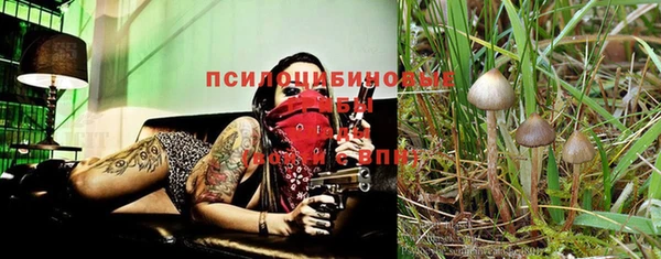 кристаллы Коряжма